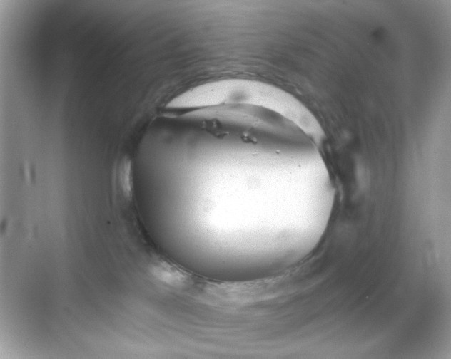 X0000068720041200605051444