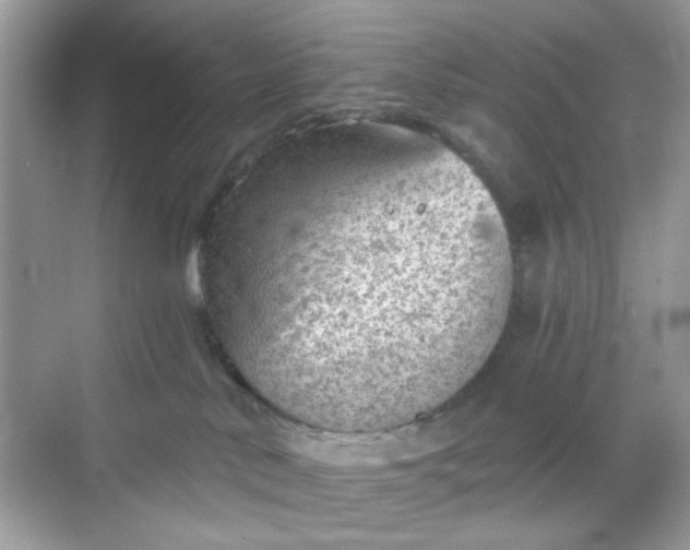 X0000068720042200605051444