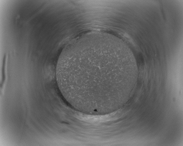 X0000068720043200605051444