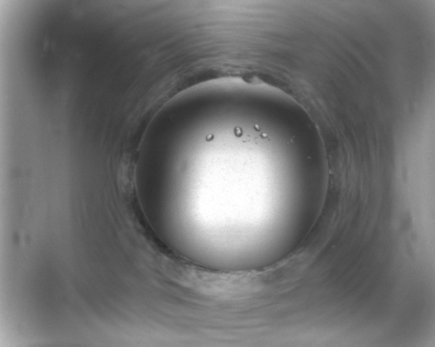 X0000068720044200605051444