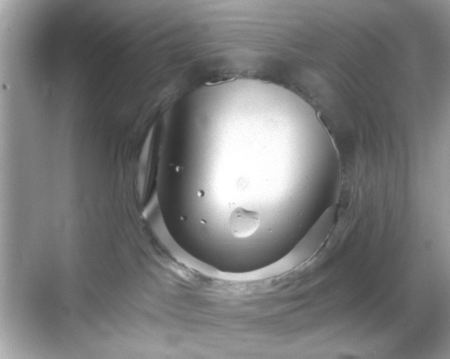 X0000068720045200605051444