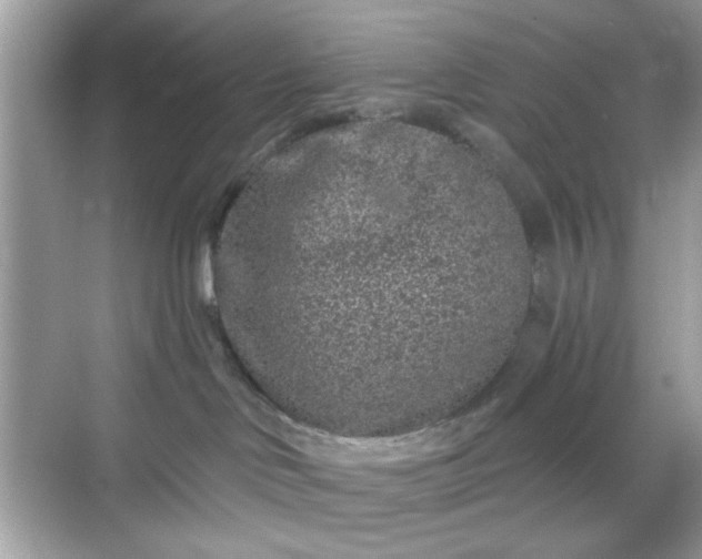 X0000068720046200605051444