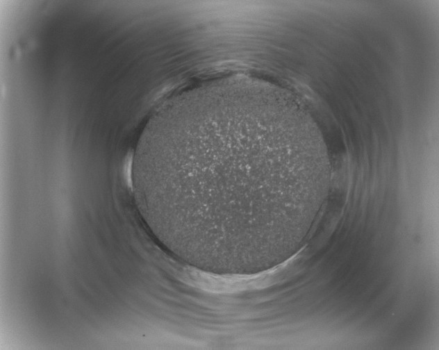 X0000068720047200605051444