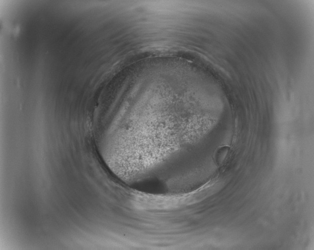 X0000068720048200605051444