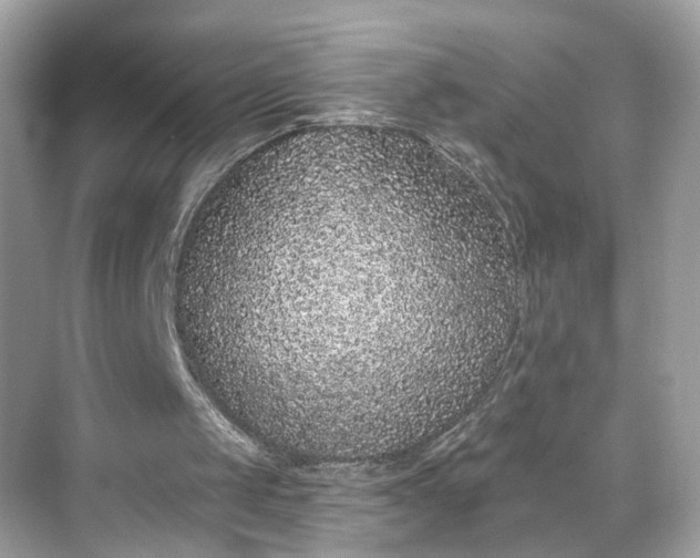 X0000068720049200605051443