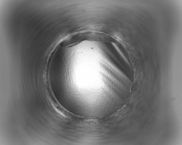 X0000068720050200605051443