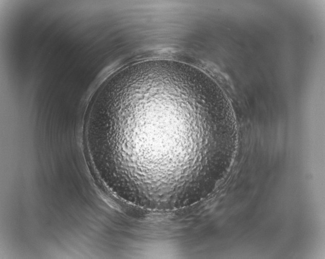 X0000068720051200605051443