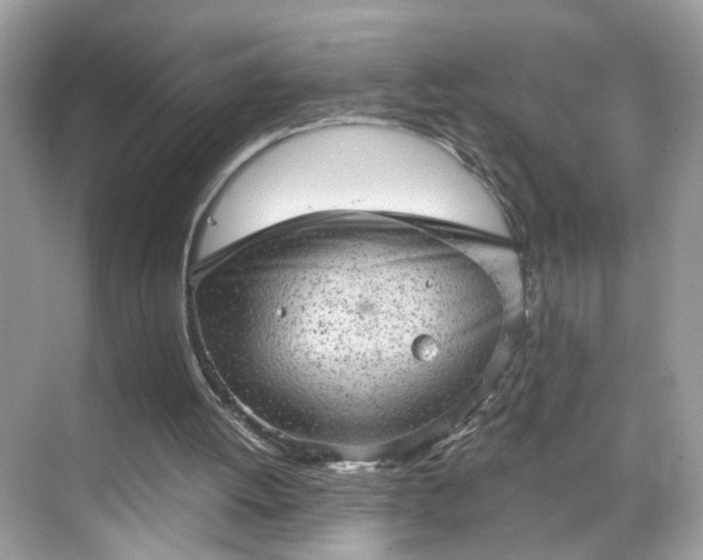 X0000068720052200605051443