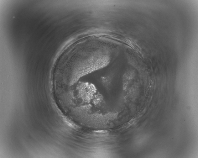 X0000068720053200605051443