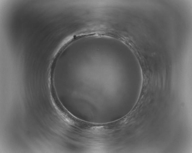 X0000068720054200605051443