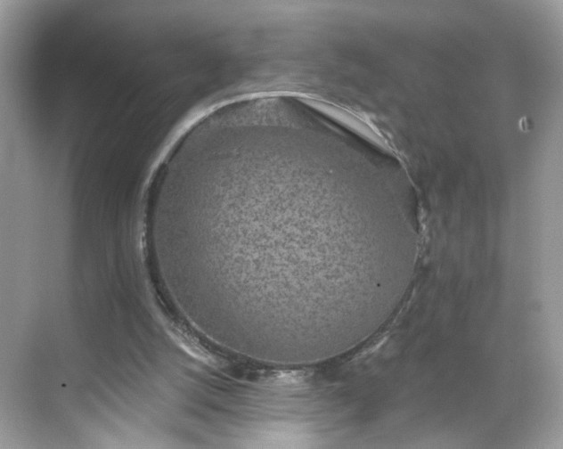 X0000068720056200605051444