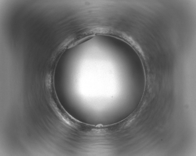 X0000068720057200605051444