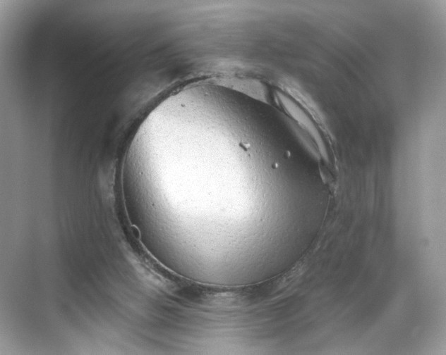 X0000068720058200605051444