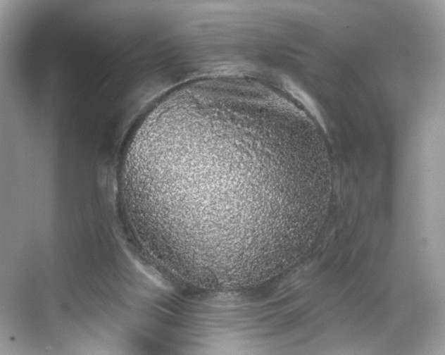 X0000068720059200605051444