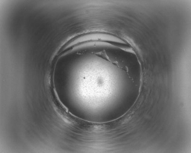 X0000068720060200605051444