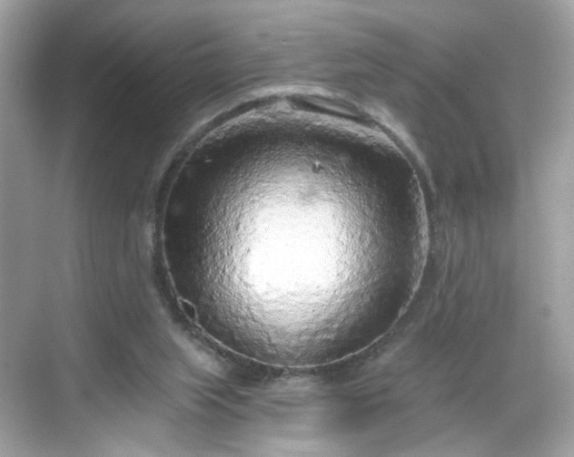 X0000068720063200605051444