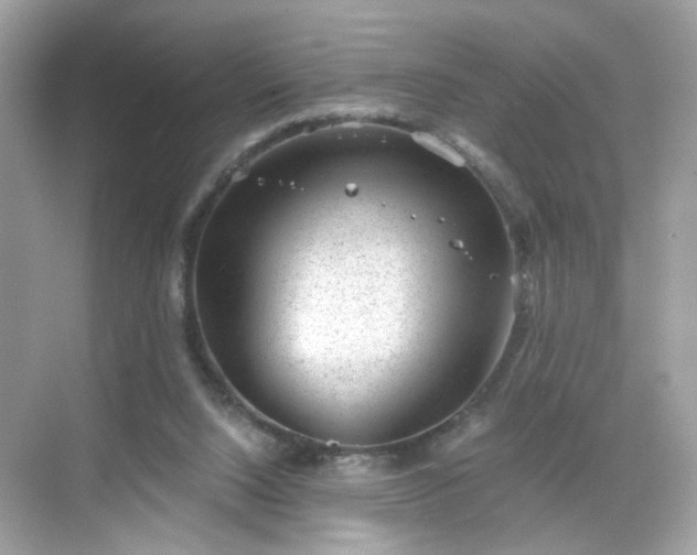 X0000068720064200605051444