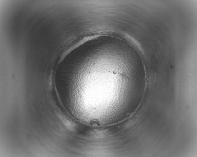 X0000068720065200605051444