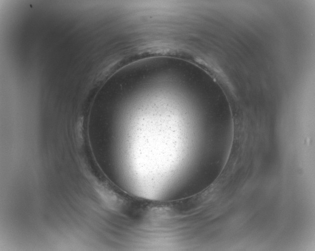 X0000068720066200605051444