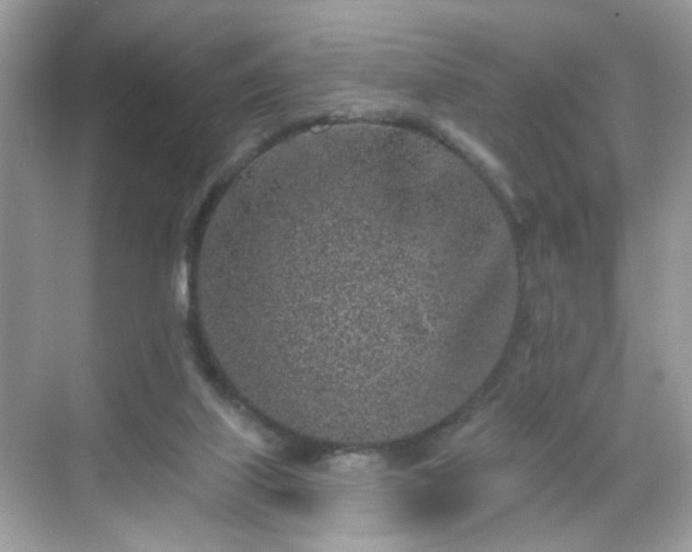 X0000068720067200605051444