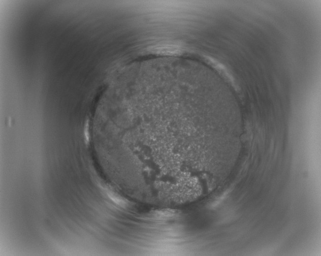 X0000068720069200605051444