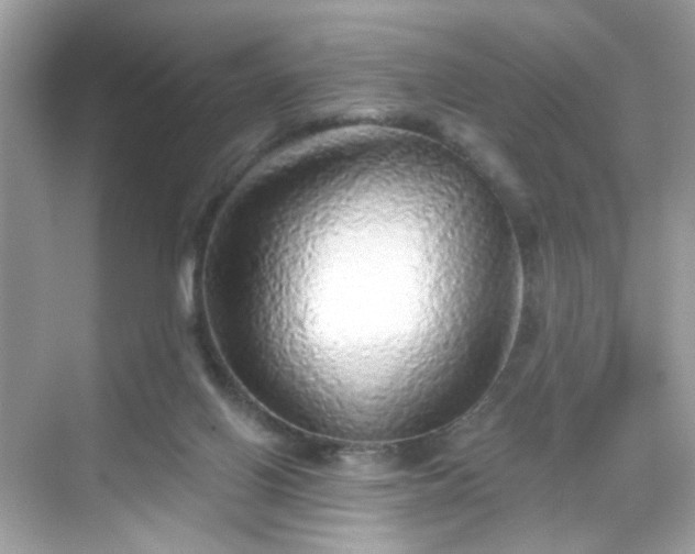 X0000068720070200605051444