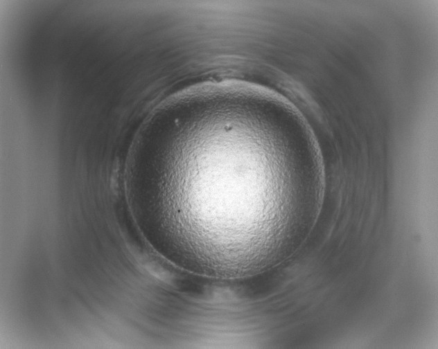 X0000068720073200605051444