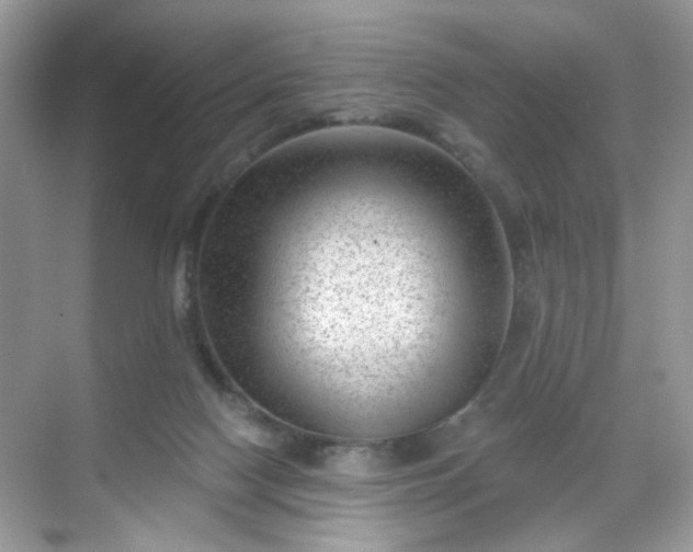 X0000068720074200605051444