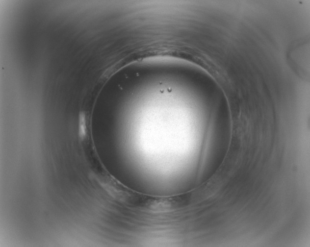 X0000068720075200605051444