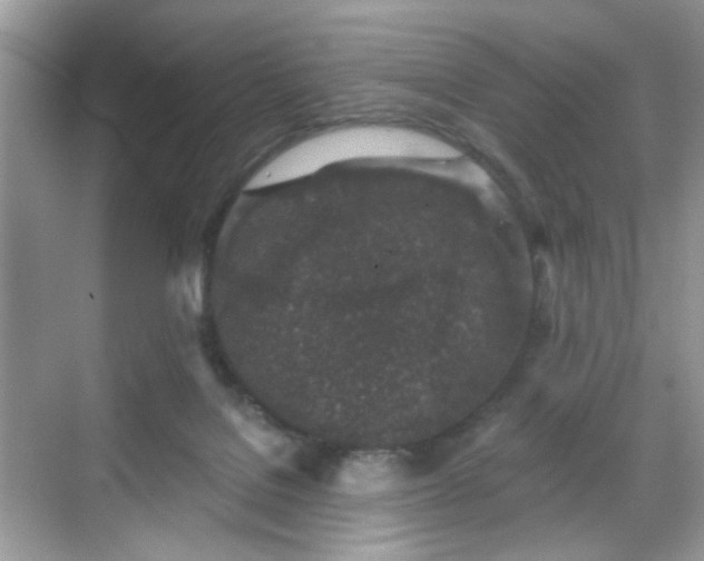 X0000068720076200605051444