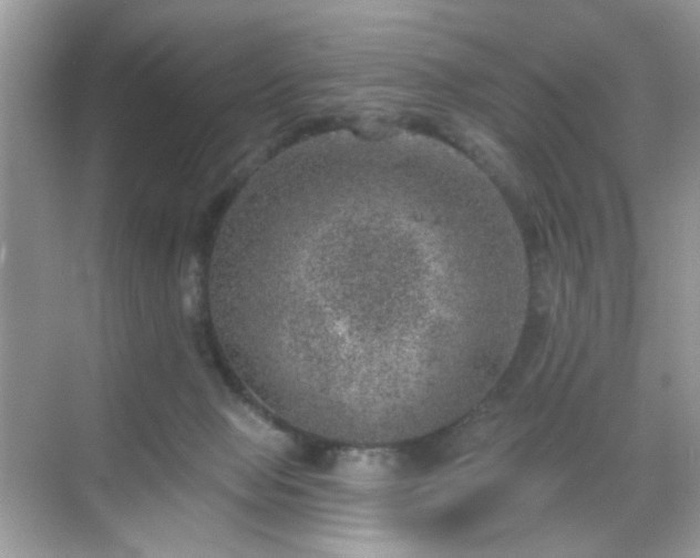 X0000068720077200605051444