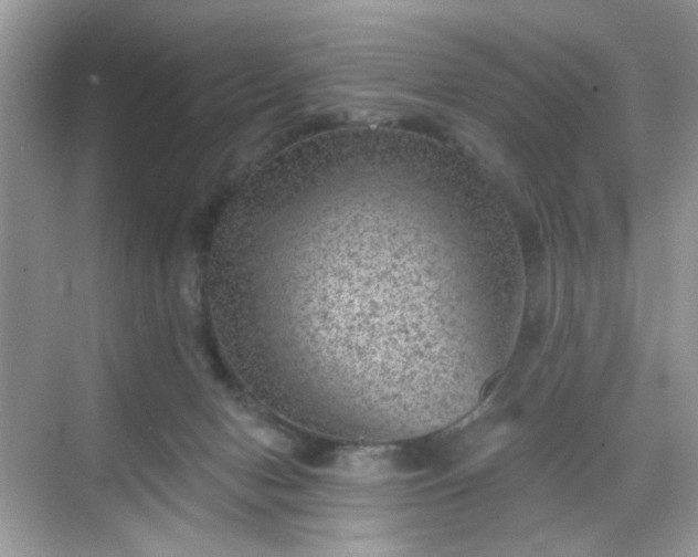 X0000068720078200605051444