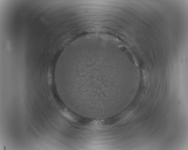 X0000068720080200605051444