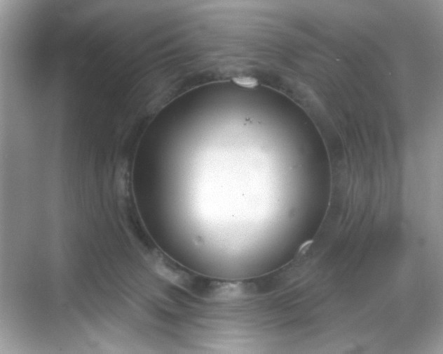 X0000068720083200605051444