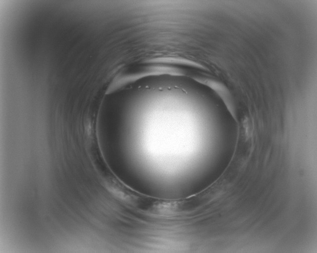 X0000068720084200605051444