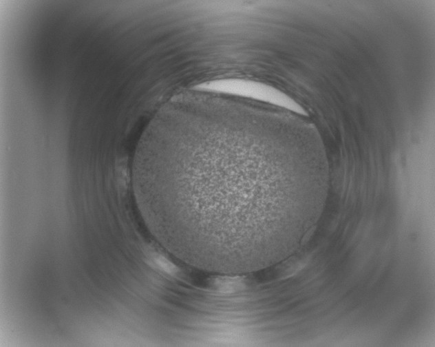 X0000068720085200605051444