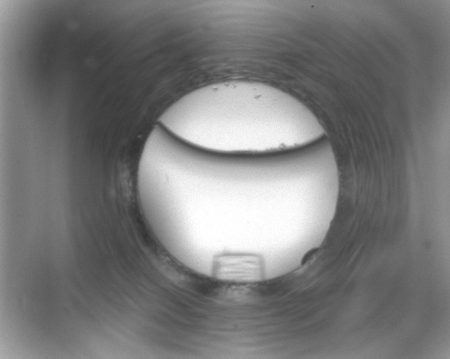 X0000068720086200605051444