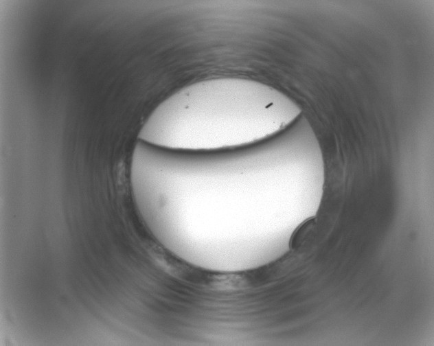 X0000068720087200605051444