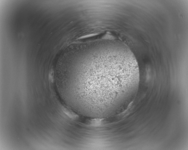 X0000068720090200605051444