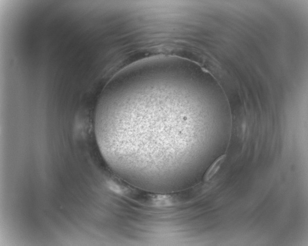 X0000068720091200605051444