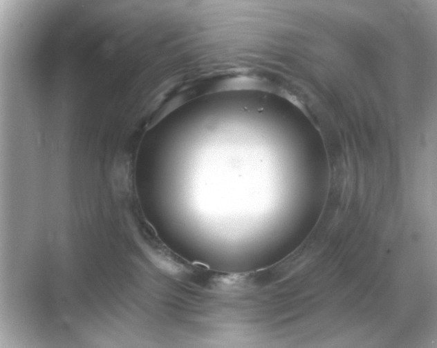 X0000068720092200605051444