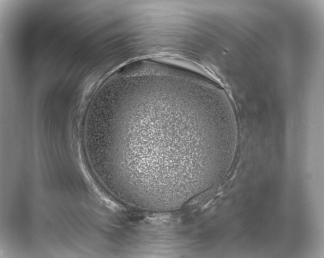 X0000068720097200605051443