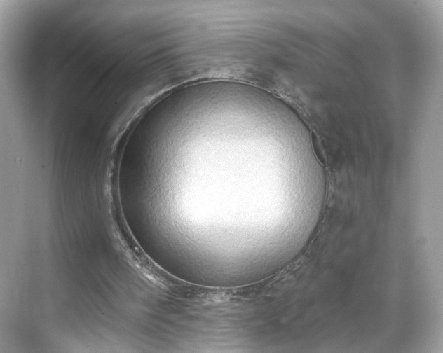 X0000068720098200605051443