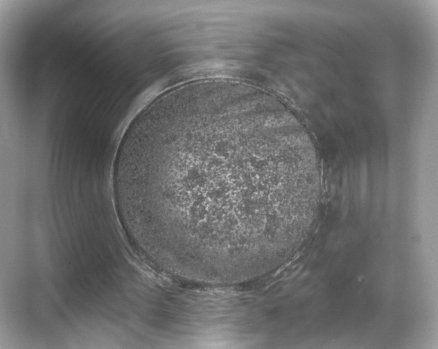 X0000068720099200605051443