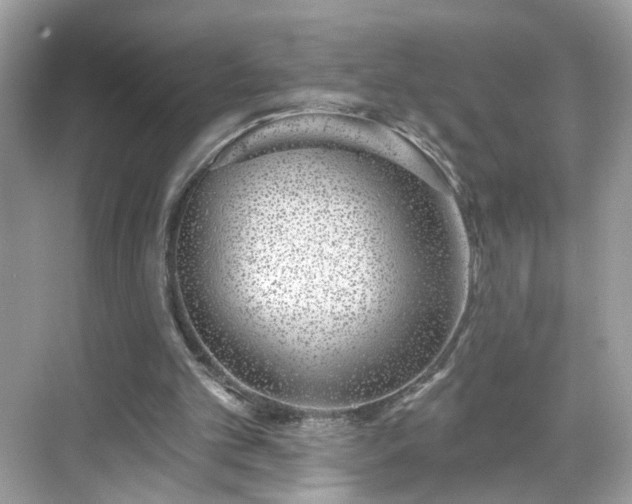 X0000068720101200605051443