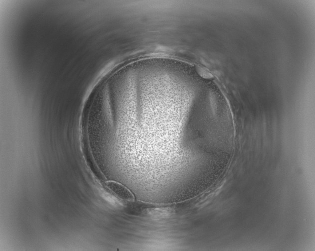 X0000068720102200605051443