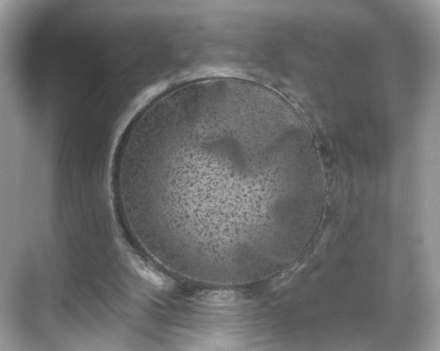 X0000068720104200605051443