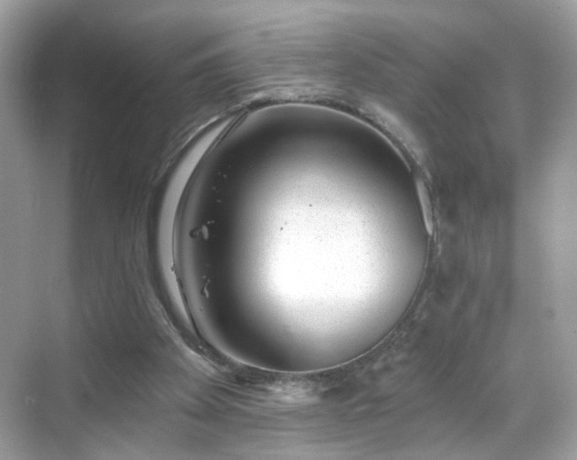 X0000068720105200605051443