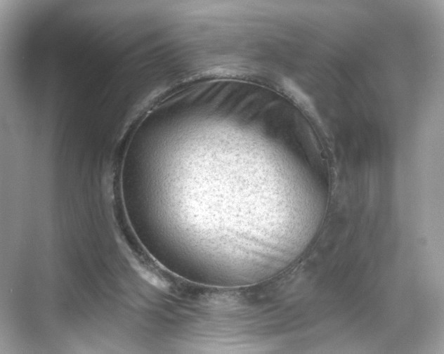 X0000068720106200605051443