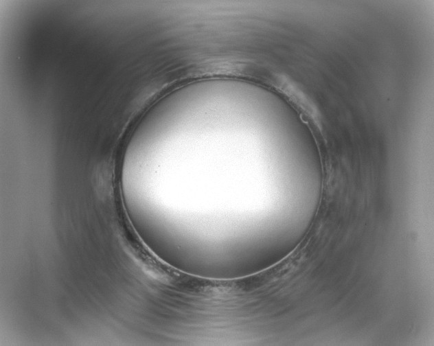 X0000068720107200605051443